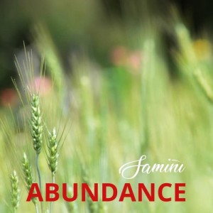 Abundance - Single