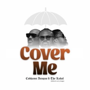 Cover Me (feat. The Kabal, 2Baba & Larry Gaaga)